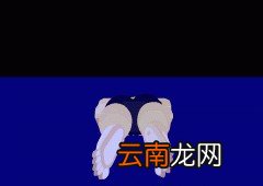 新手如何学习游泳