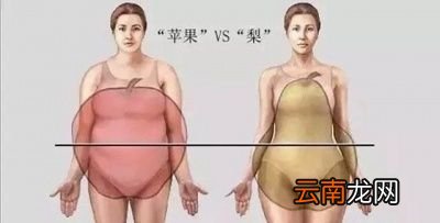 当体脂率下降到一定值后还是有小肚子怎么办