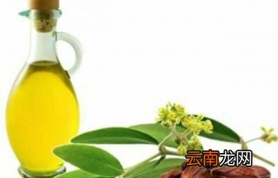 粉底和BB霜哪个对皮肤的伤害更大