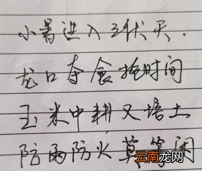 小暑刮南风到底好不好呢