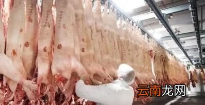 外国进口肉还能不能吃