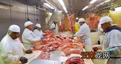 外国进口肉还能不能吃
