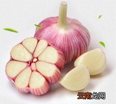 每顿饭都吃生蒜会对身体有什么好处
