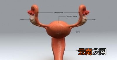 到底多少岁绝经才是正常的呢
