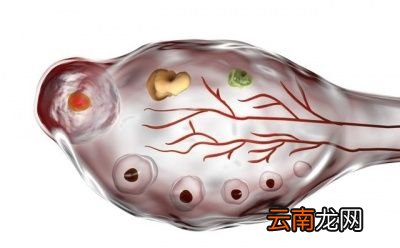 到底多少岁绝经才是正常的呢