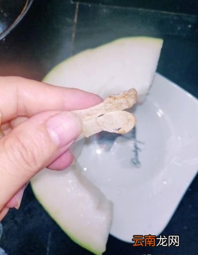 “瑶柱和什么食材炖汤才好喝