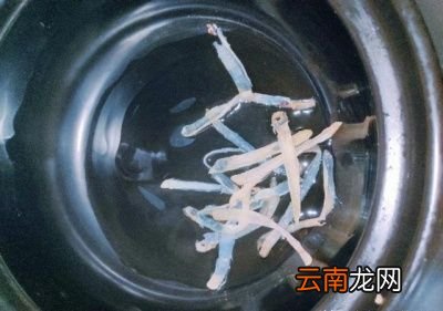 “瑶柱和什么食材炖汤才好喝