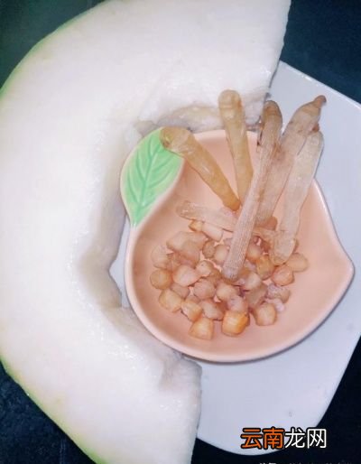 “瑶柱和什么食材炖汤才好喝