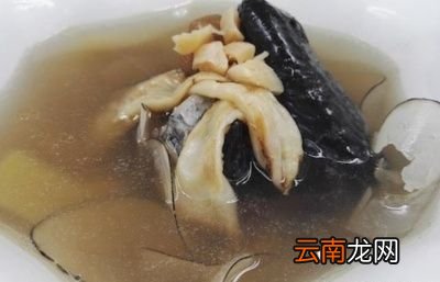 瑶柱和什么食材炖汤才好喝