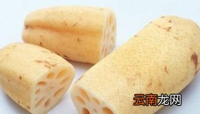 怀孕期间可以吃莲藕吗