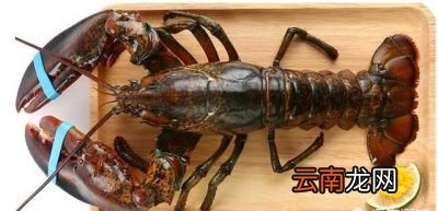 原因之一大龙虾并不小龙虾便宜