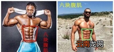 能练出几块腹肌