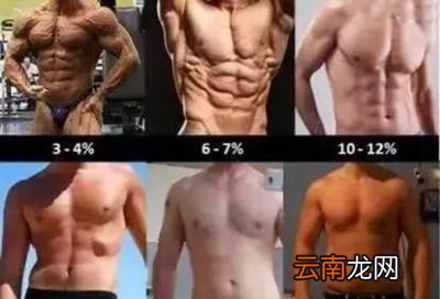 能练出几块腹肌