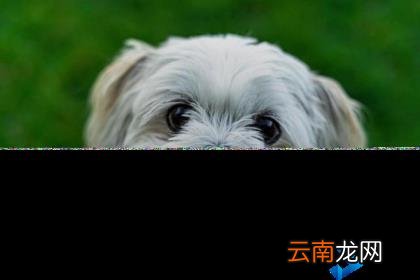 我想在手机赚钱怎么赚呀 我想用手机赚钱