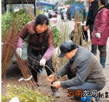 批发什么最赚钱本钱小小孩玩具 批发什么东西比较简单赚钱