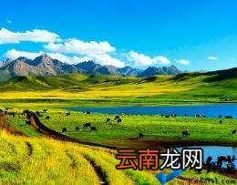 创业家的故事 真实创业故事10000多例