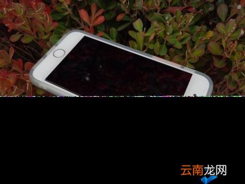 苹果7plus屏幕多大尺寸 苹果13屏幕多大尺寸
