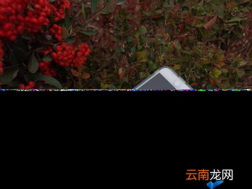 苹果7plus屏幕多大尺寸 苹果13屏幕多大尺寸