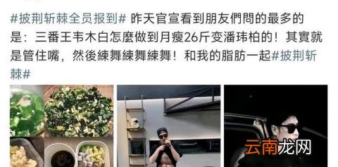 潘玮柏胖瘦对比照 潘玮柏以前胖的照片