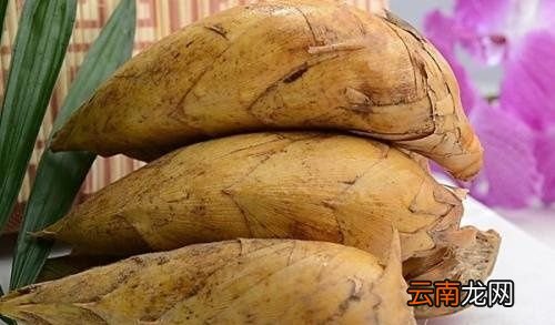 冬笋和春笋有什么区别
