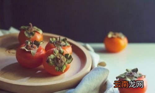 柿子什么时间开始熟了