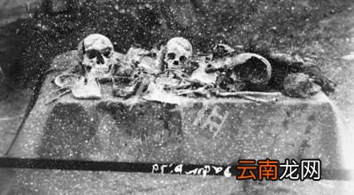 辐射76怪物大全 辐射76特殊怪物图鉴与介绍 温迪戈
