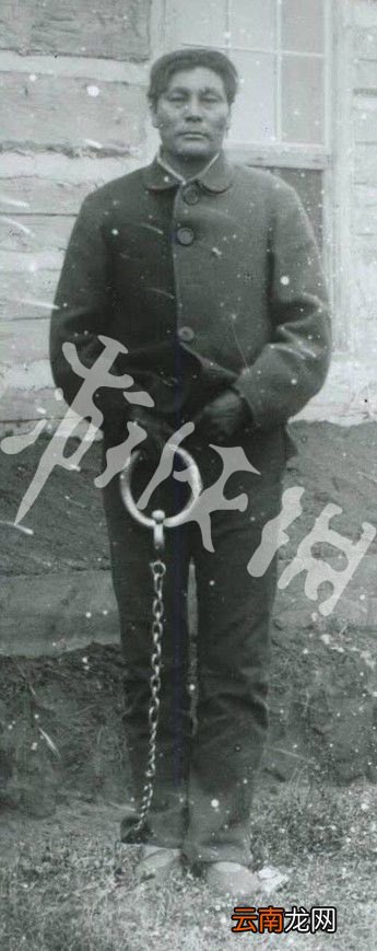 辐射76怪物大全 辐射76特殊怪物图鉴与介绍 温迪戈