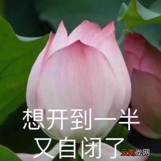 comments是什么意思 youcomments是什么意思