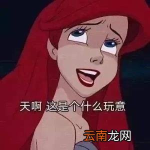 comments是什么意思 youcomments是什么意思