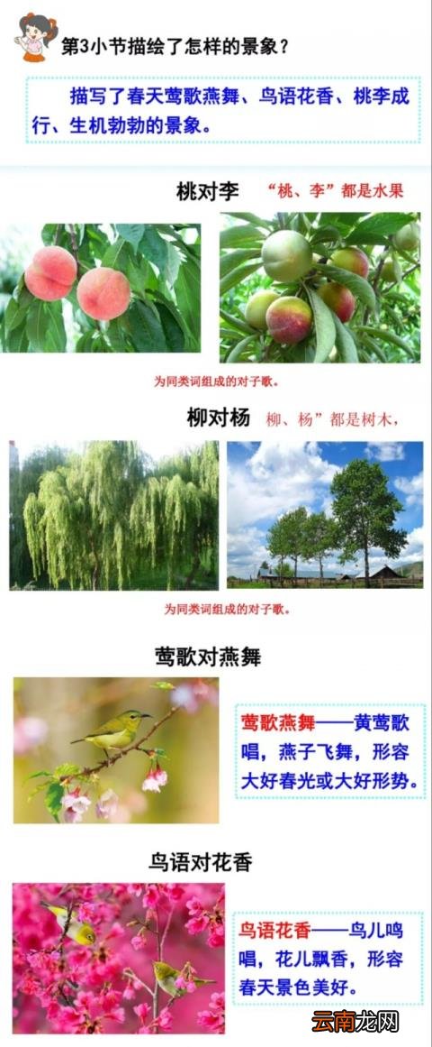 以组词一年级 以组词一年级上册两个字