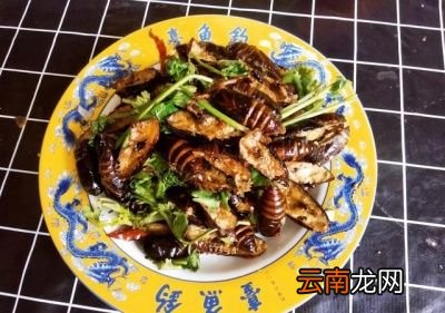 为何北方人喜欢吃茧蛹