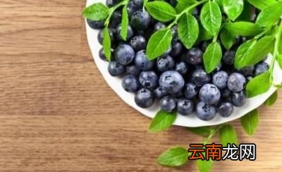 蓝莓应该怎样吃呢