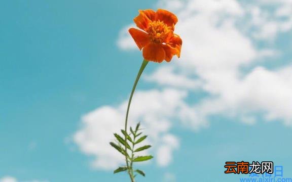 常见的财务风险讲解 财务风险有哪些方面