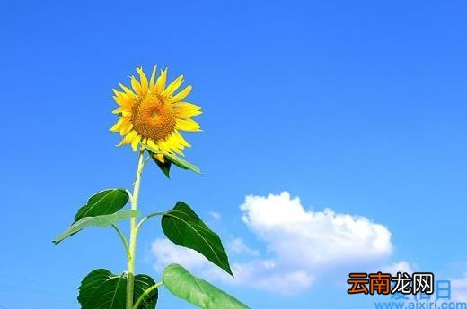 常见的财务风险讲解 财务风险有哪些方面
