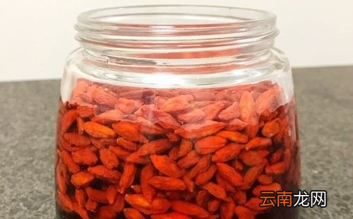 用枸杞泡酒最佳比例是多少
