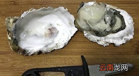 生蚝怎么做好吃又简单