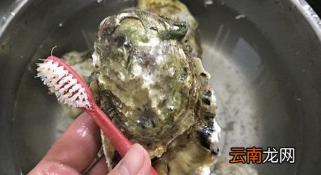 生蚝怎么做好吃又简单