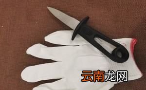 生蚝怎么做好吃又简单