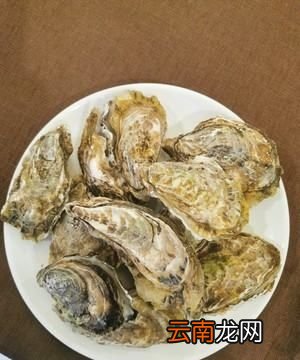 生蚝怎么做好吃又简单
