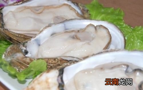 生蚝怎么处理干净内脏