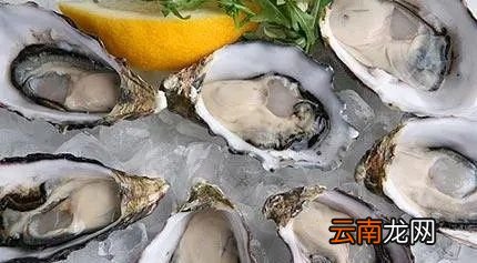 生蚝吃多了有什么危害