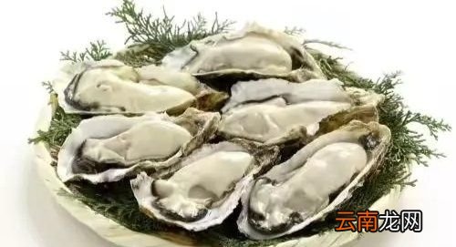 生蚝吃多了有什么危害