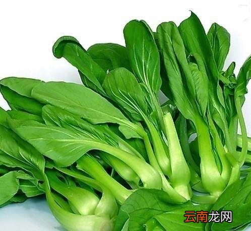 青菜的功效与作用是什么