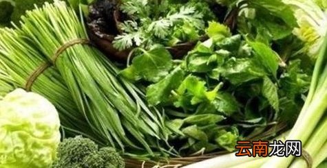 青菜的功效与作用是什么