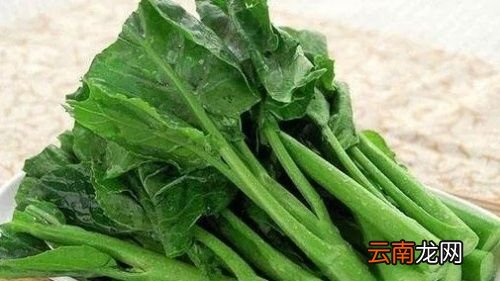 青菜的功效与作用是什么