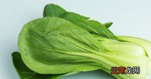 青菜的功效与作用是什么