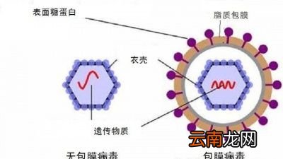 冠状病毒用什么消毒液