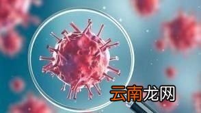 预防新型冠状病毒用什么消毒液