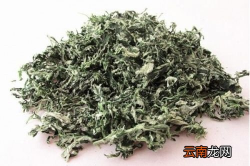 一岁左右的宝宝可以点艾叶吗