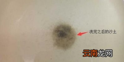 如何清洗葡萄干才能洗干净